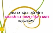 Bài 1.1 Toán 12 tập 1 SGK Kết nối tri thức